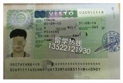 中意坤学校2015国际生签证成功案例分享